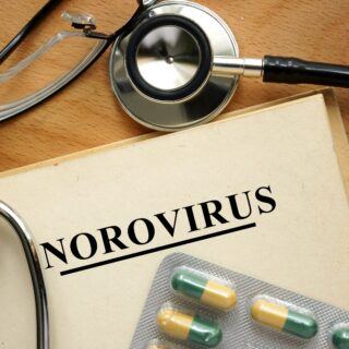 Norovirus - Ursachen, Symptome und Behandlung
