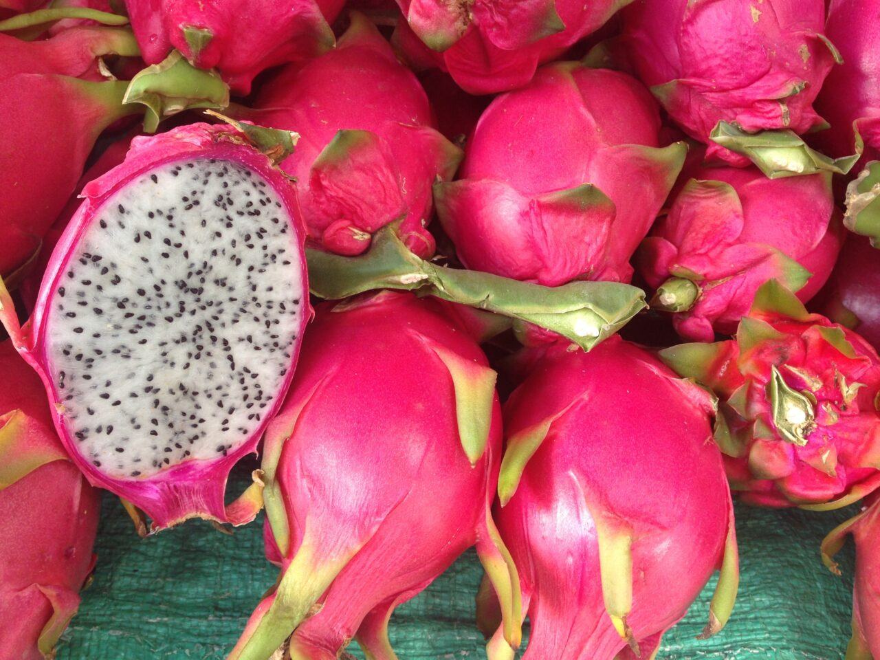 Drachenfrucht – Superfood aus dem Herzen Mexikos