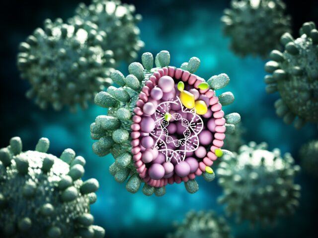 Hepatitis B – Ursachen, Symptome und Behandlung
