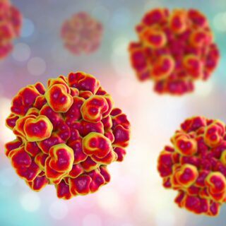 Hepatitis E Hepatitis E – Ursachen, Symptome und Behandlung