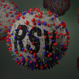 Respiratorisches-Synzytial-Virus (RSV) Respiratorisches-Synzytial-Virus (RSV) - Ursachen, Symptome und Behandlung