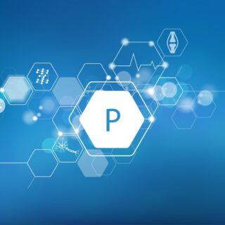 Phosphor – Bedarf, Quellen und Mangel Phosphor – Bedarf, Quellen und Mangel